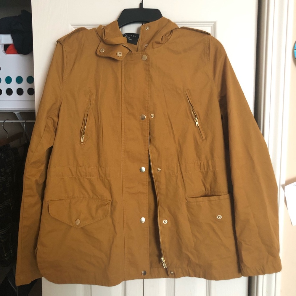 Yellow Jacket - Picture 2 of 4